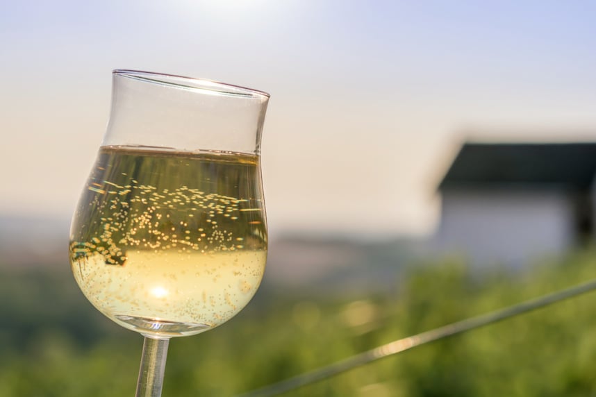 Vini aromatici dell'Alto Adige: le eccellenze da scoprire Vini aromatici dell'Alto Adige: le eccellenze da scoprire